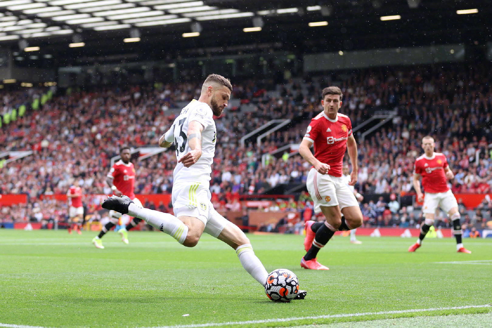 这不仅增加 这不仅增加